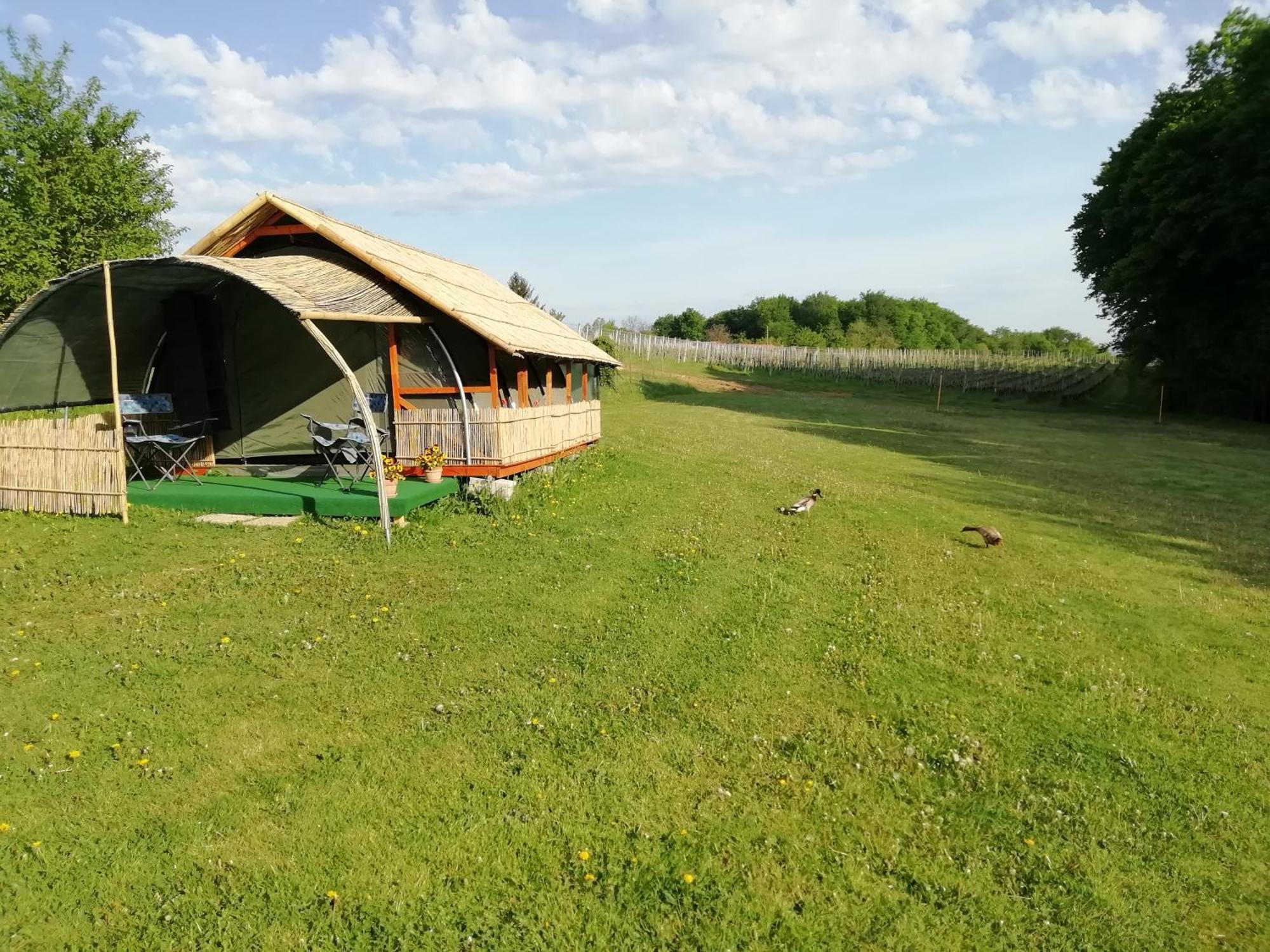 Camping Silva Ljutomer Eksteriør bilde